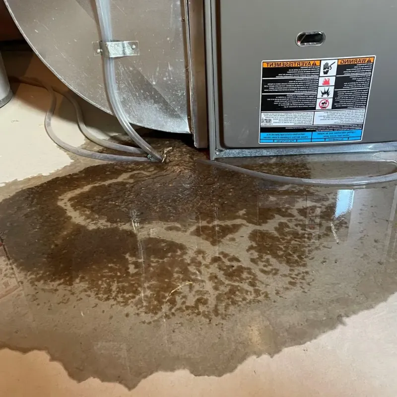 Pipe Burst and Leak Restoration in South Portland, ME